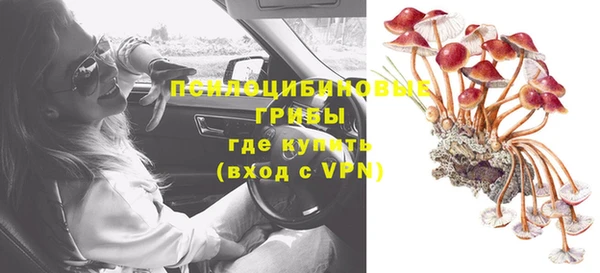 тгк Нефтекумск