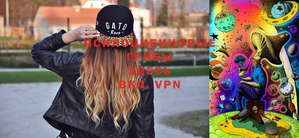 тгк Нефтекумск