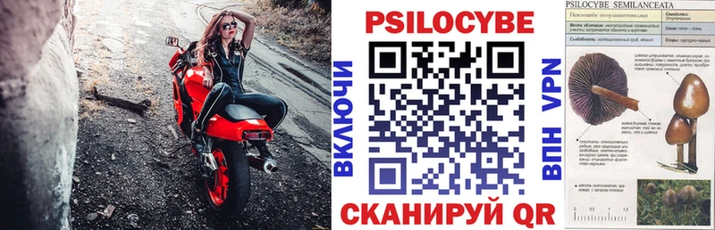 Купить где  Салехард  Псилоцибиновые грибы Psilocybine cubensis 